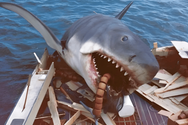"Tiburón", película de Steven Spielberg