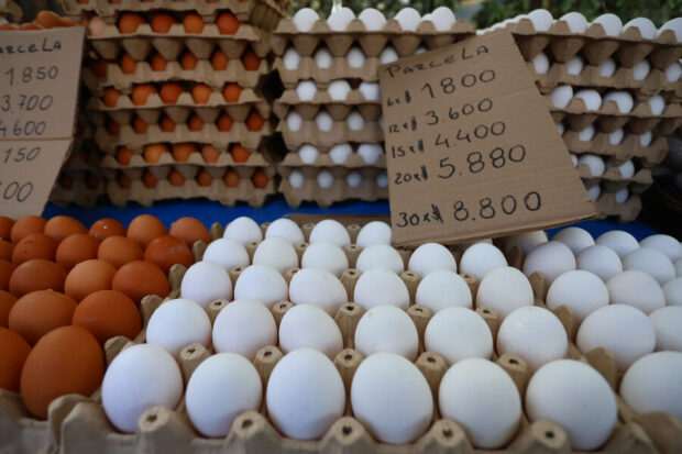 huevos