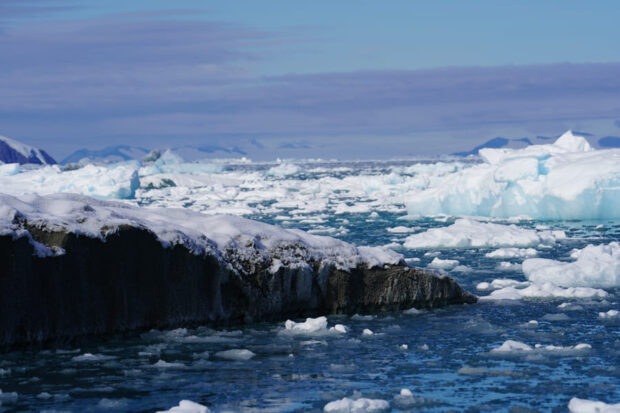 Paisaje helado en la Antártica chilena con témpanos flotando en el mar y una capa de nieve cubriendo las rocas.