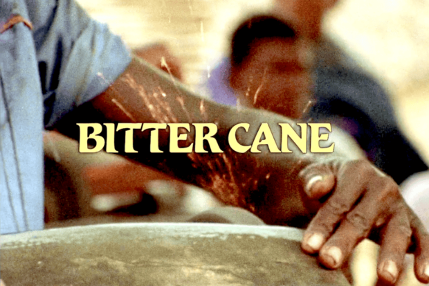 "Bitter Cane", película de Haití