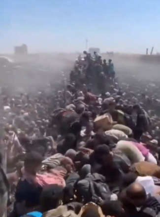 Gazatíes abalanzados sobre los camiones de ayuda humanitaria que ingresan a la Franja