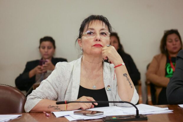 Carlina Marzán, diputada del PPD