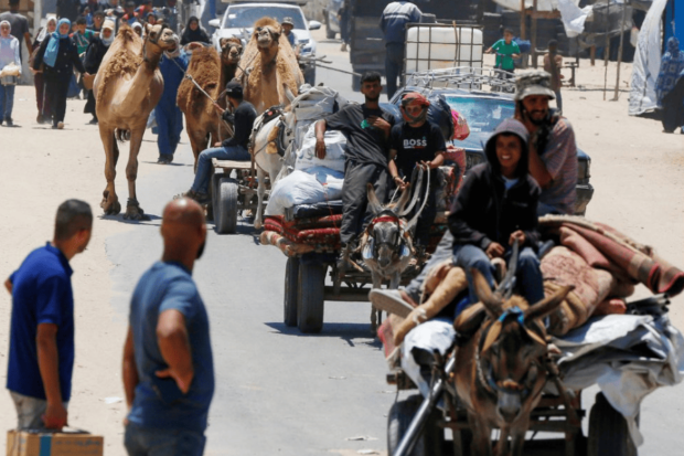 Personas desplazadas en Gaza se movilizan con carros tirados por burros y camellos, llevando sus pertenencias por una calle.