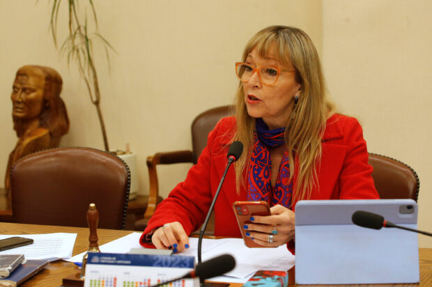La diputada Ana María Gazmuri abordó el caso de tortura a funcionario TEA en el Hospital de Osorno