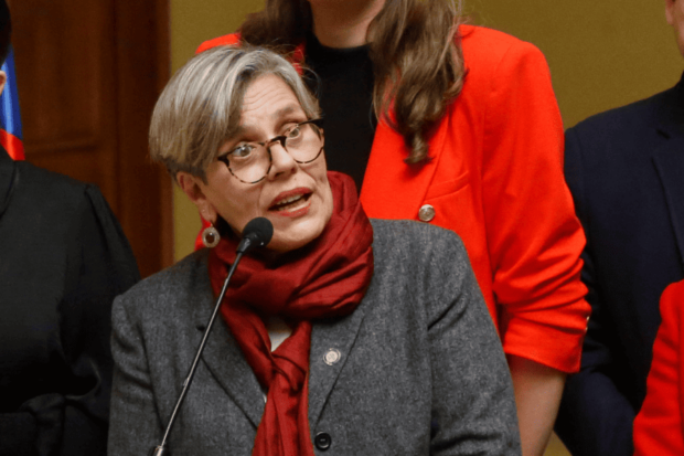 Diputada Lorena Fries (FA).