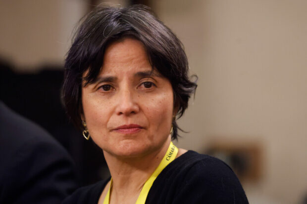 Presidenta del Colegio Médico, Anamaría Arriagada.