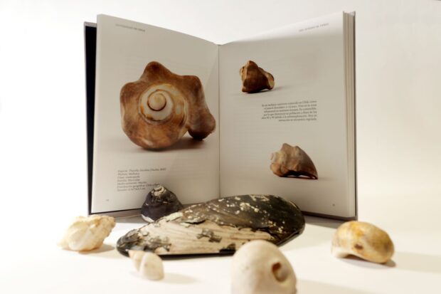 Libro “Del océano al verso. Las caracolas de Pablo Neruda”. 