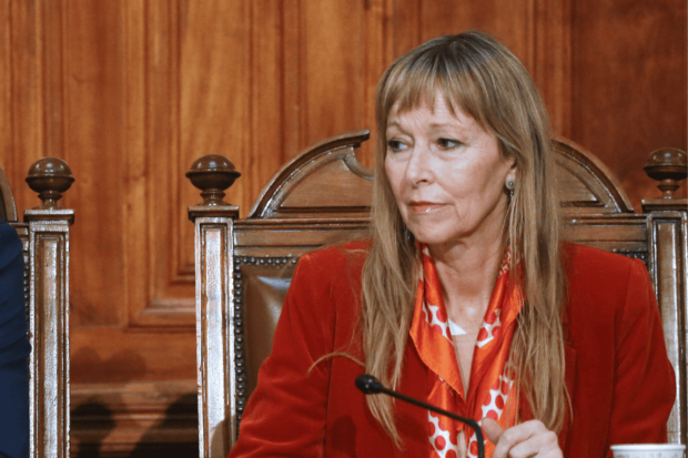 Diputada de Acción Humanista, Ana María Gazmuri.