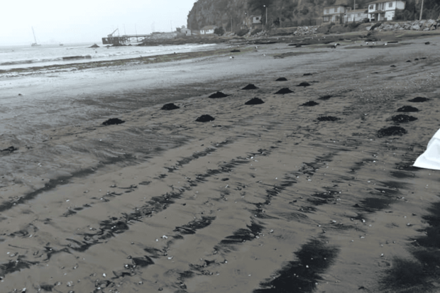 Playa con arena oscura y húmeda, posiblemente contaminada.