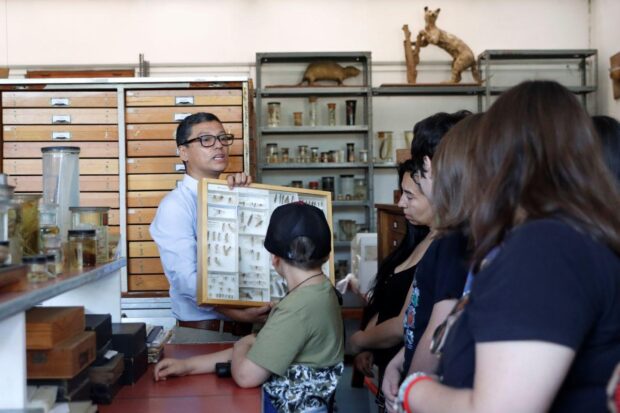 n especialista muestra una caja de colección entomológica con diversos insectos a un grupo de personas en un laboratorio de historia natural.