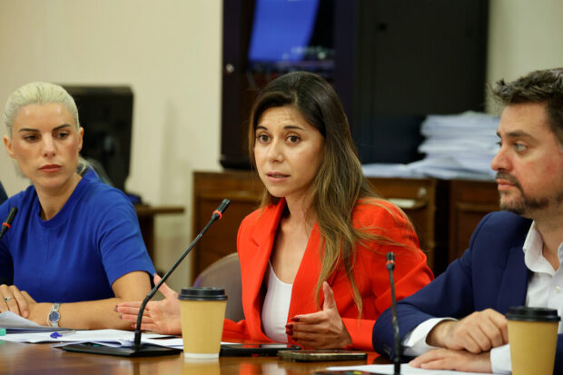 Diputada Daniella Cicardini (PS).