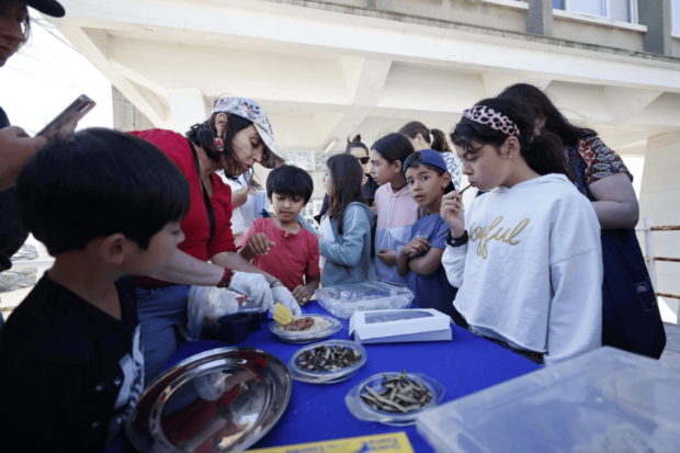 Una de las actividades de la Escuela de Temporada de la U. de Chile. 