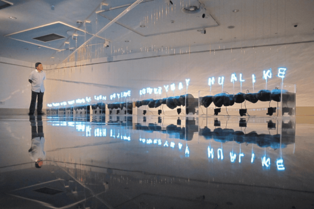 Obra "Ngen-Füta-Winkul", de Gonzalo Díaz, en la Bienal de Busan Garden of Learning en Corea del Sur. 