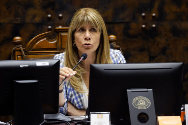 Senadora Ximena Rincón. 
