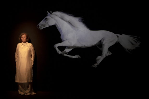Una de las escenas de "Caballo", obra escrita y dirigida por Emilia Noguera. 