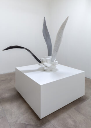 Agave (3 hojas), 2025