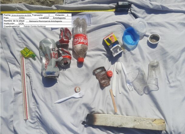 Parte de los residuos encontrados en las playas chilenas.
