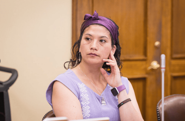 Diputada Ericka Ñanco (FA).