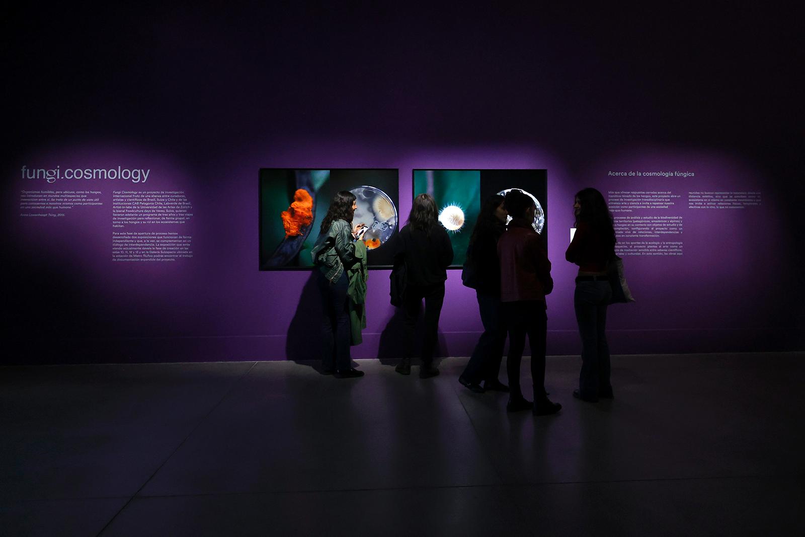 Mac Museo de Arte Contémporáneo