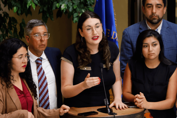 Punto de prensa de la diputada Emilia Schneider (FA).
