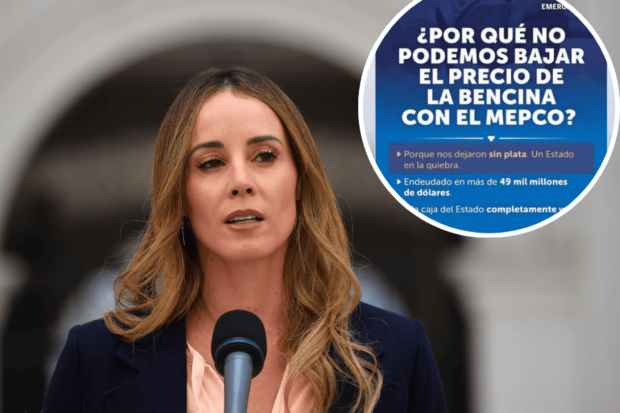 Vocera de Gobierno, Mara Sedini, y controvertida publicación de redes sociales.