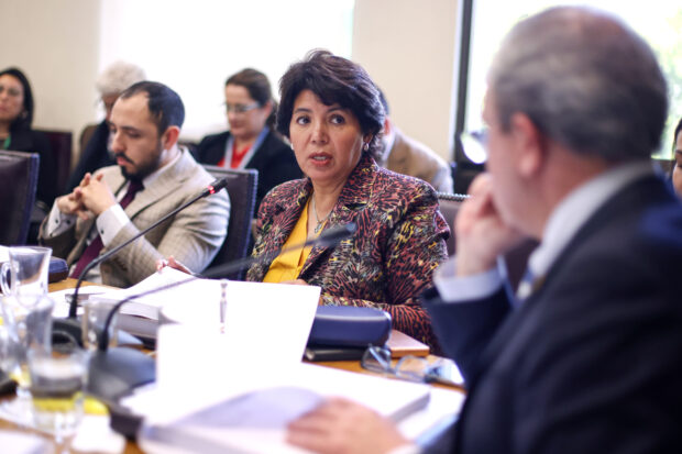 Senadora Yasna Provoste, parte de la Comisión de Educación. Foto: Karin Pozo/Senado.