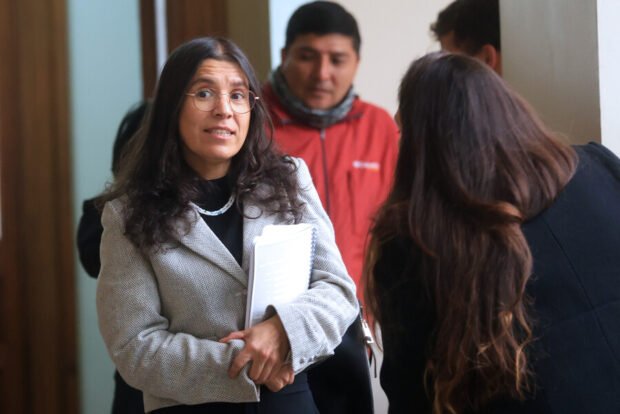 Karina Riquelme, abogada defensora de los hijos de Julia Chuñil.