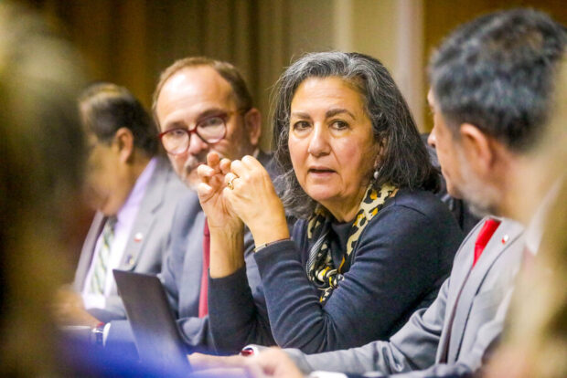 Ministra de Salud, May Chomalí.