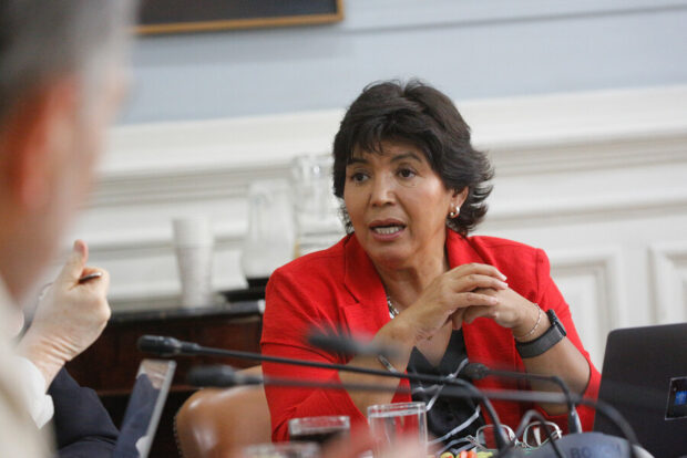 Senadora Yasna Provoste (DC).