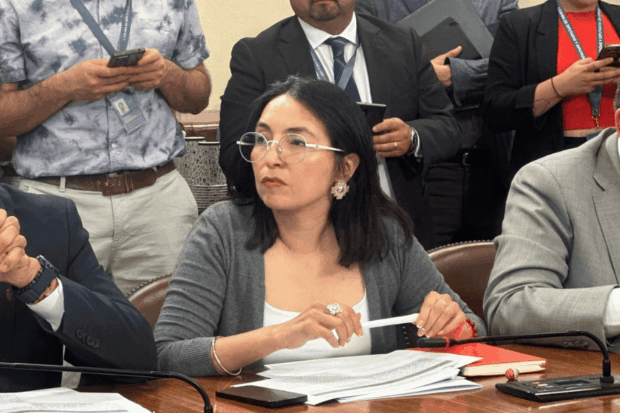 Diputada Tatiana Urrutia (FA).