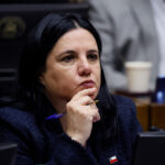 Trinidad Steinert Ministra de Seguridad Pública