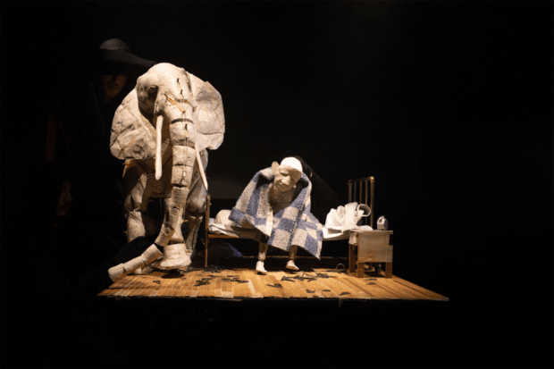 "Cabeza de elefante", obra de teatro.