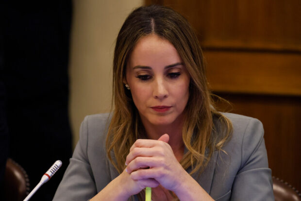 La ministra Vocera de Gobierno, Mara Sedini, en la Comisión de Cultura de la Cámara de Diputadas y Diputados. 