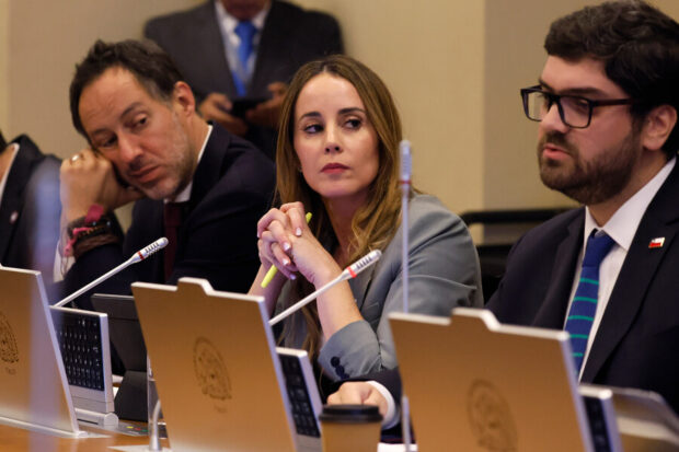 La ministra Vocera de Gobierno, Mara Sedini, en la Comisión de Cultura de la Cámara de Diputadas y Diputados. 