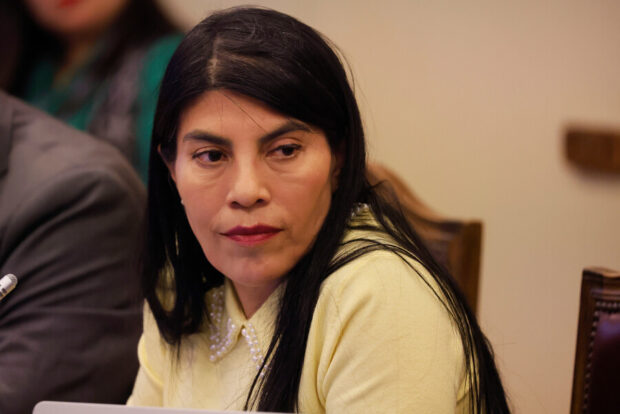La ministra de Ciencias Ximena Lincolao.