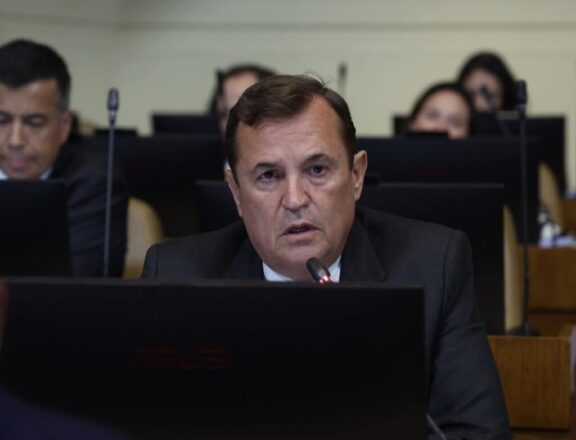Diputado Luis Pardo.