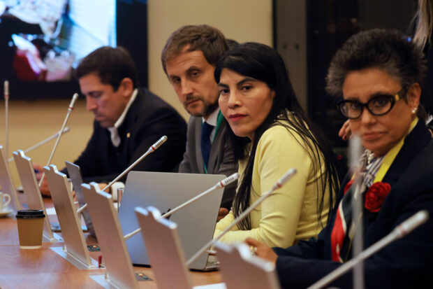 Rafael Araos y Ximena Lincolao.