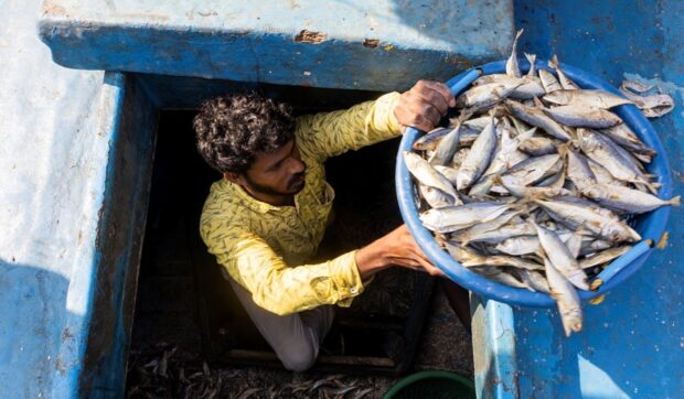 Pescador de la India.