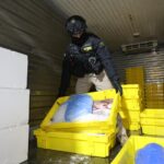 Desbaratan banda criminal por contrabando de pesca: carabineros, funcionarios de Sernapesca y muni de Valdivia entre los detenidos Detective de la PDI de Chile fiscaliza cajas de pescado congelado en el interior de un camión frigorífico durante un operativo policial.